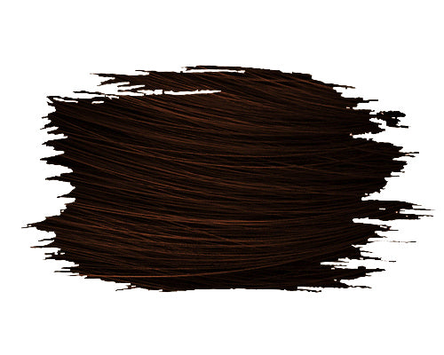 5.66 - Intense Red Light Chestnut